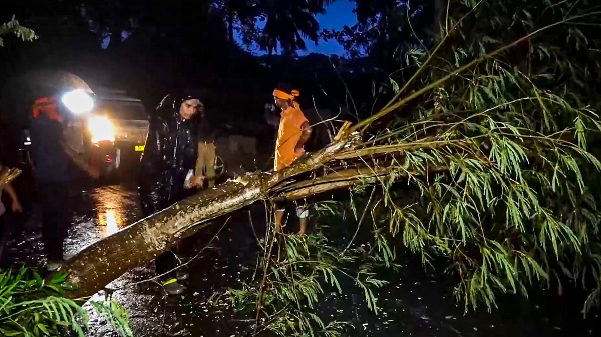 An uprooted tree being removed in Kendrapara on 24 October (photo: PTI)