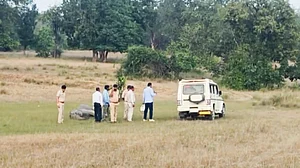 Bandhavgarh elephant deaths: MP govt forms five-member probe panel