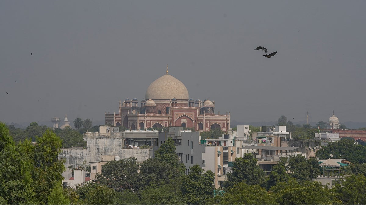 Diwali: Relentless fireworks defy ban, shroud Delhi in smog