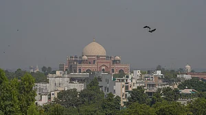 Diwali: Relentless fireworks defy ban, shroud Delhi in smog