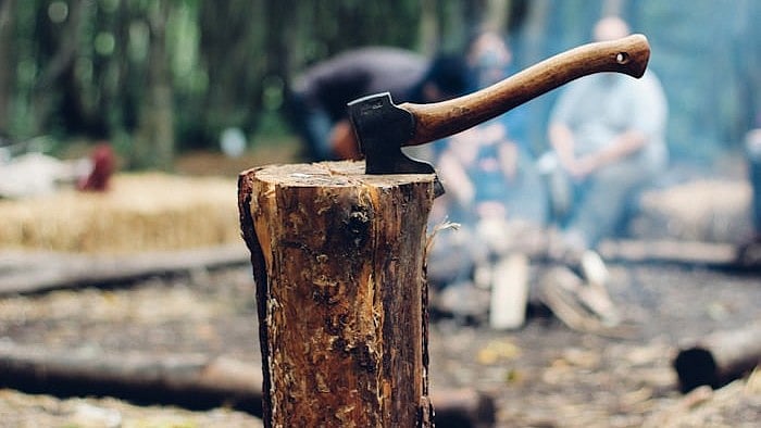 What are you doing to restore the Delhi Ridge?: Supreme Court to DDA