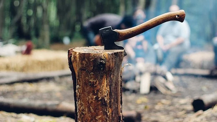 How many trees were filled on the Delhi Ridge? (representative image of axe in tree stump)