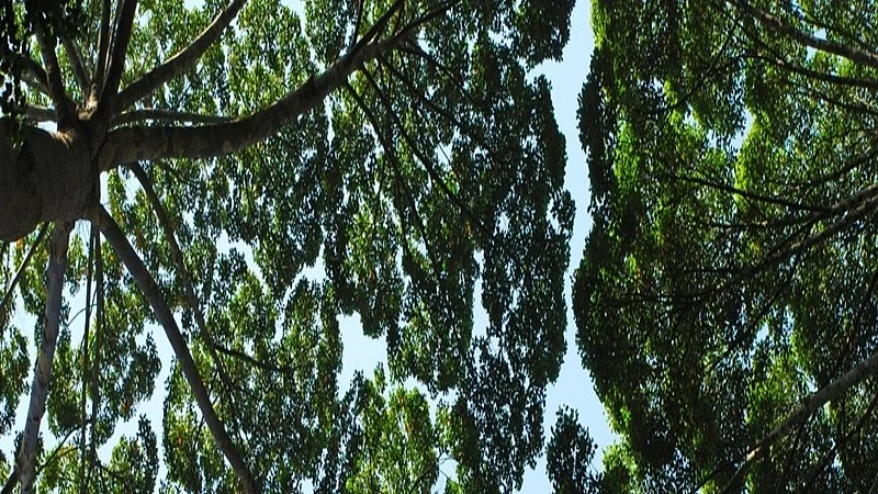 The world's on course for a 2.6–3.1 degrees temperature rise, instead of our 1.5-degree target