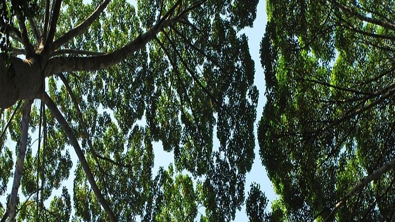 The world's on course for a 2.6–3.1 degrees temperature rise, instead of our 1.5-degree target
