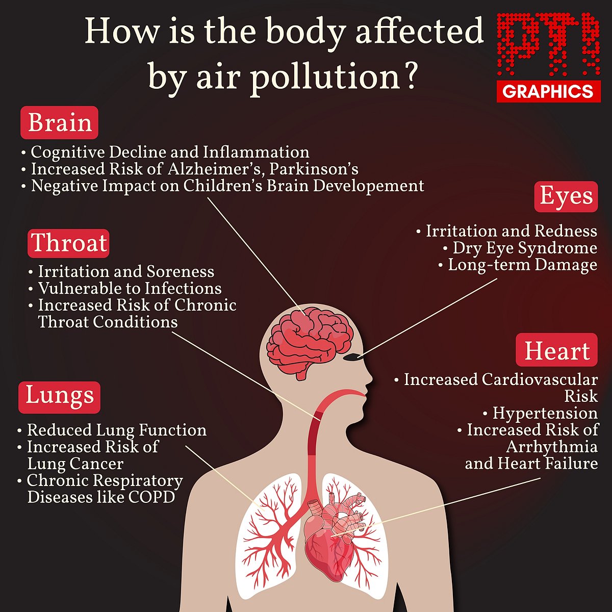 Infographic by PTI