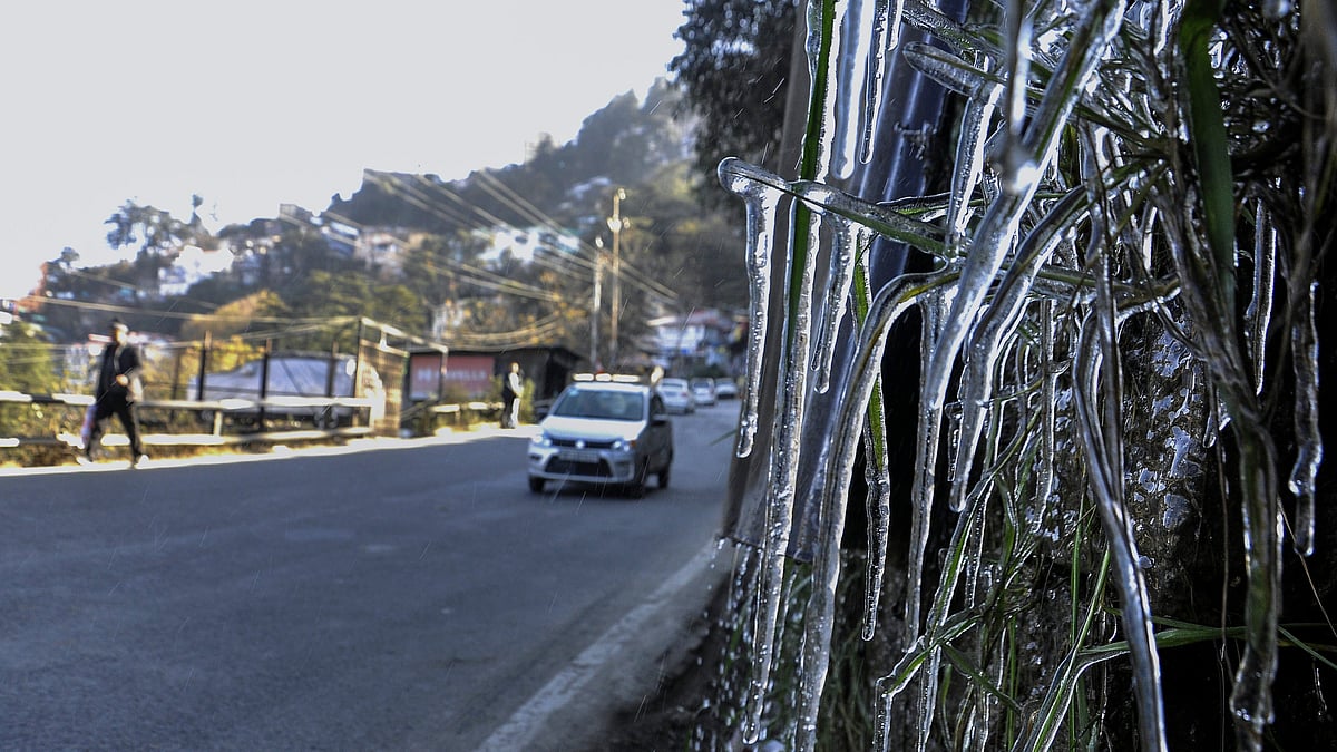 Shimla receives season's first snow, cold conditions intensify in Himachal's higher reaches