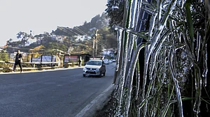 Shimla receives season's first snow, cold conditions intensify in Himachal's higher reaches