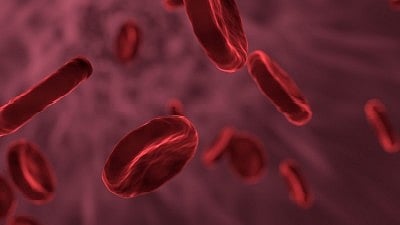 Can this Indian gene therapy cure haemophilia? (representative image of red blood cells)
