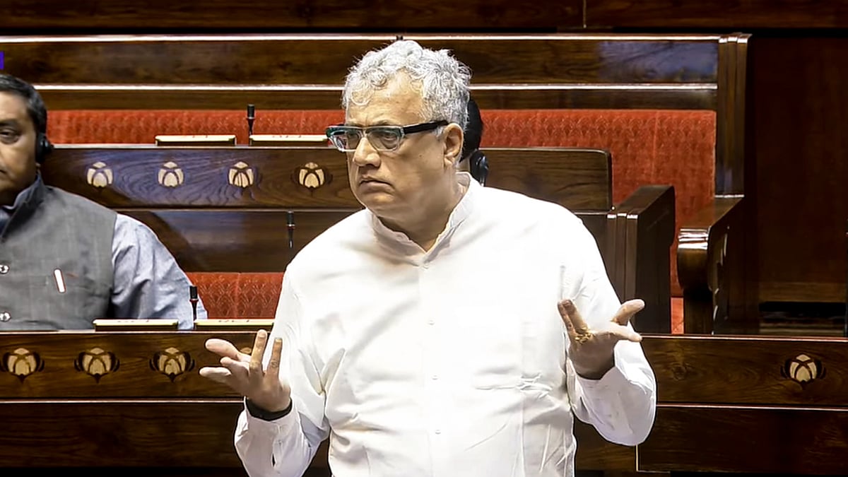 Trinamool MP Derek O'Brien urges a Constitution debate in the Rajya Sabha
