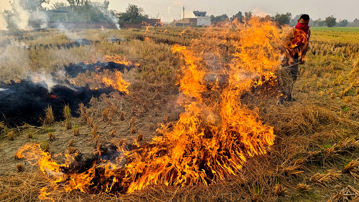 Delhi: Air quality in ‘severe’ zone, minimum temperature 7.5 degrees Celsius