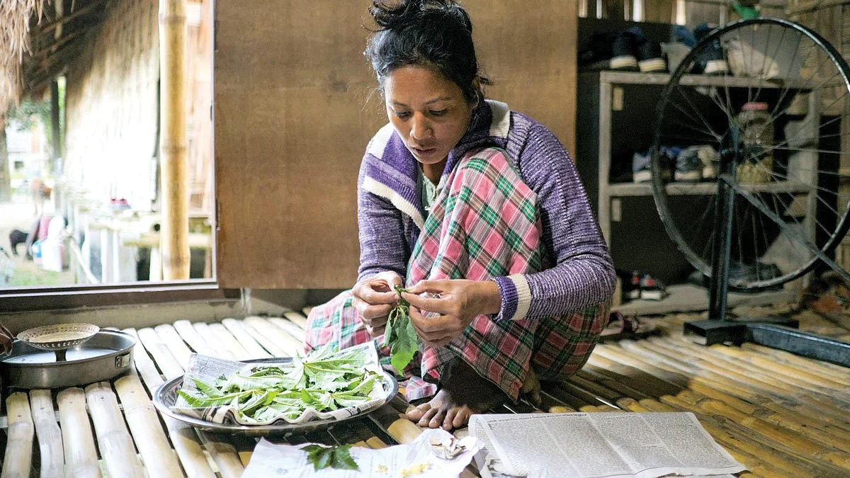 Along the Majuli silk route