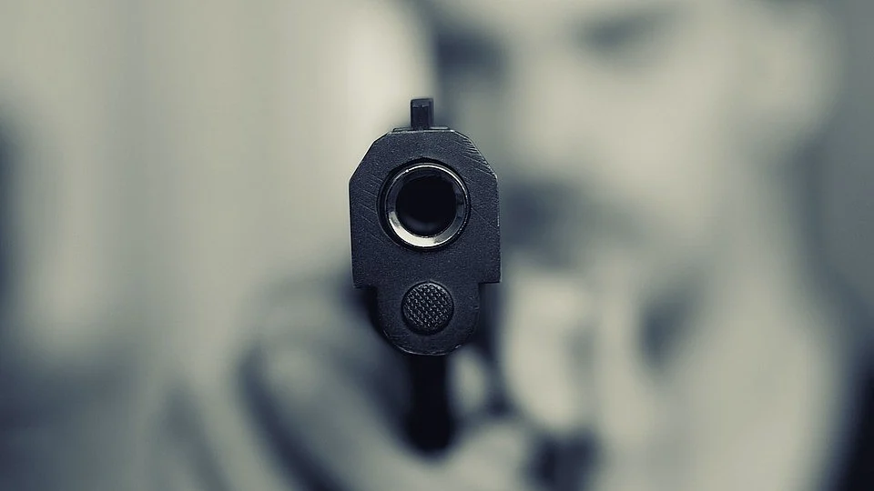 Representative image of a gun (photo: IANS)