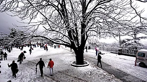 It’s more than just snow tourism