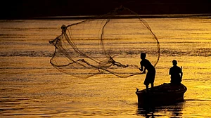 Sri Lankan Navy arrests 8 Indian fishermen for alleged poaching
