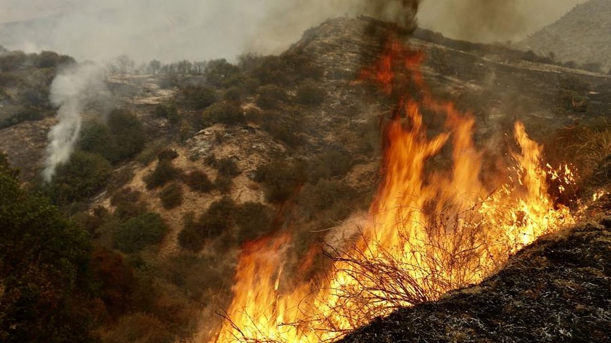 Wildfires ignite infection risks, weaken body’s immune defences: Experts