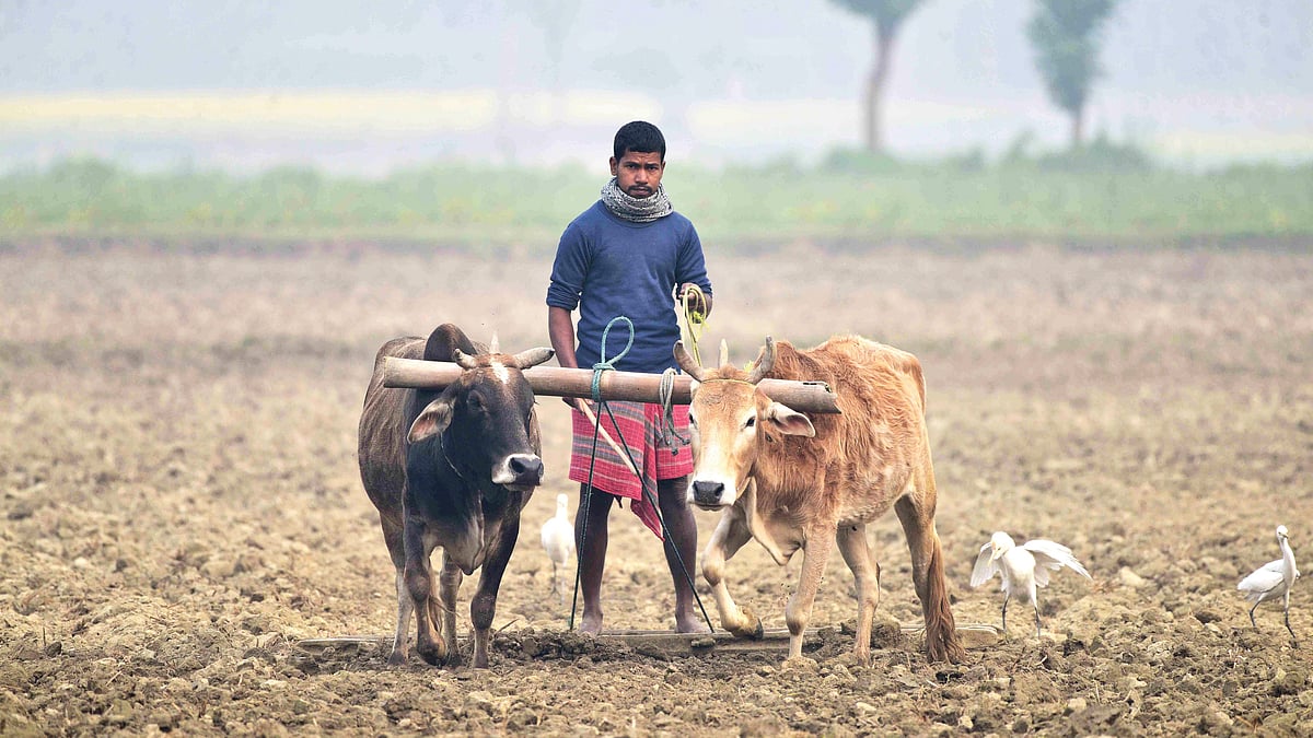 Budget 2025: No fuel for the ‘first engine of development’?
