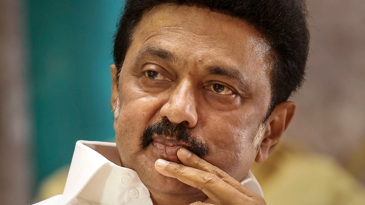 Tamil Nadu chief minister M.K. Stalin (photo: PTI)