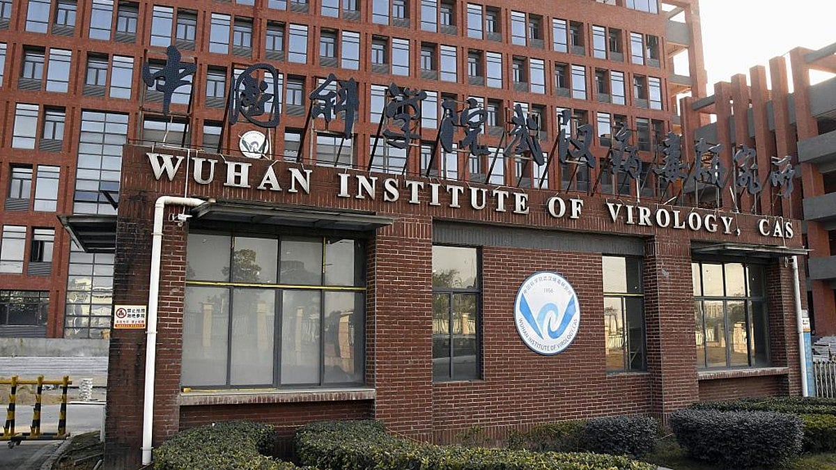 New bat virus may infect humans via same route as Covid, warn Chinese virologists
