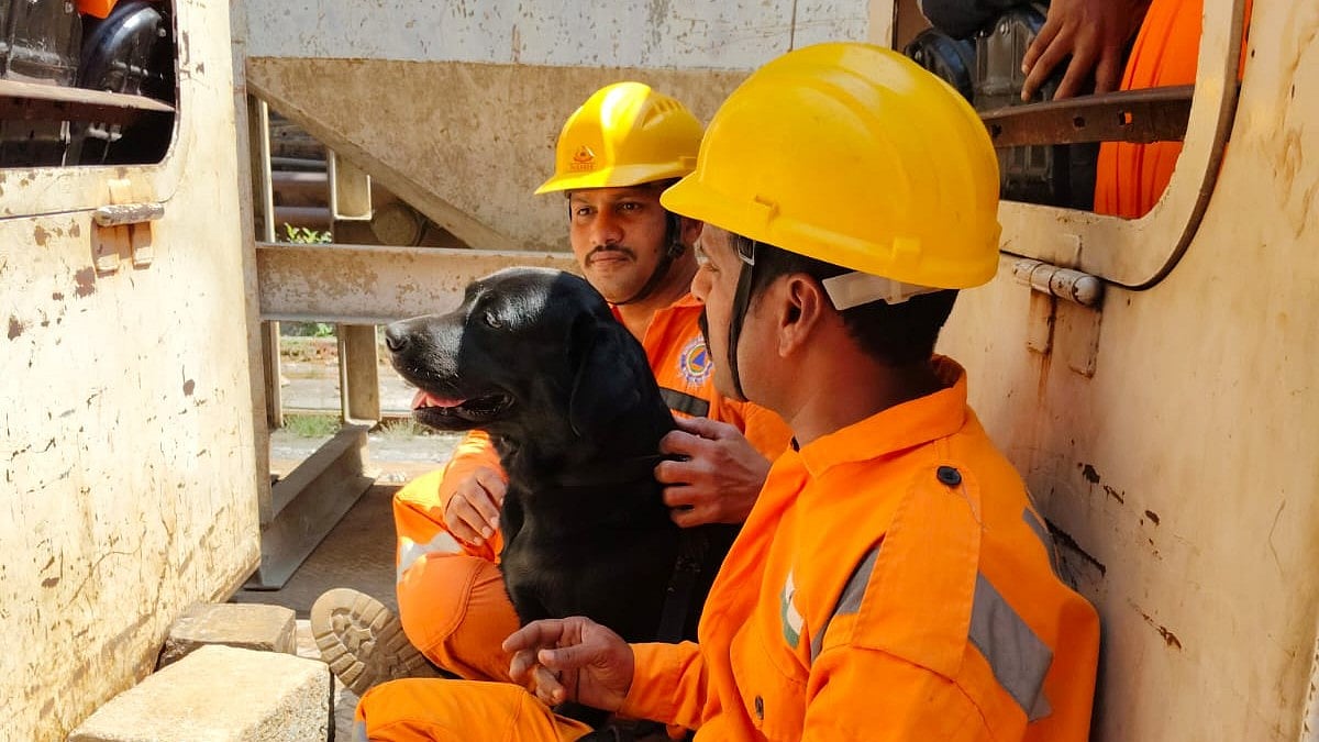 Telangana tunnel collapse: Hope lingers, but can they hold out 2 more days?