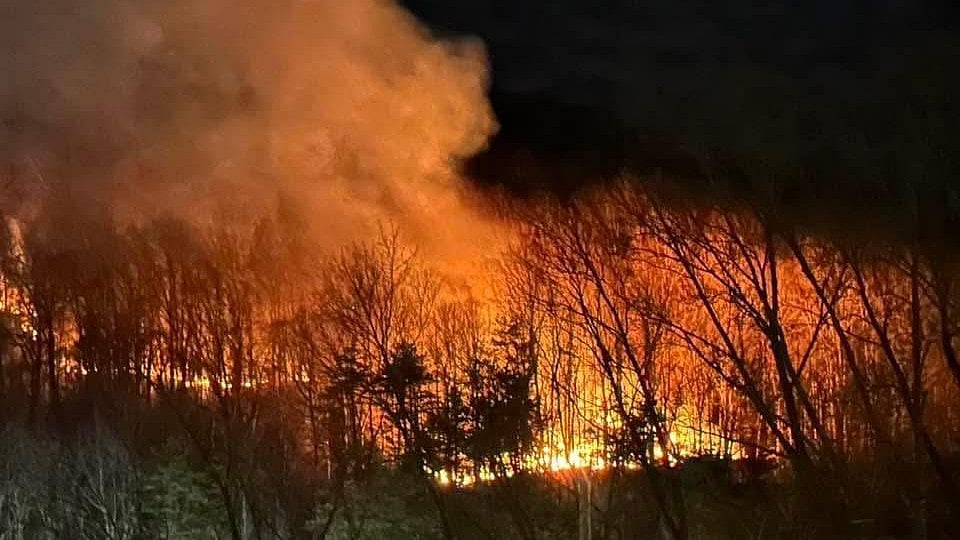 More US wildfires: That's a lot of CO2 to ignore, Mr President!