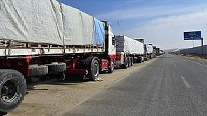 Palestine seeks international pressure on Israel to resume Gaza aid deliveries 