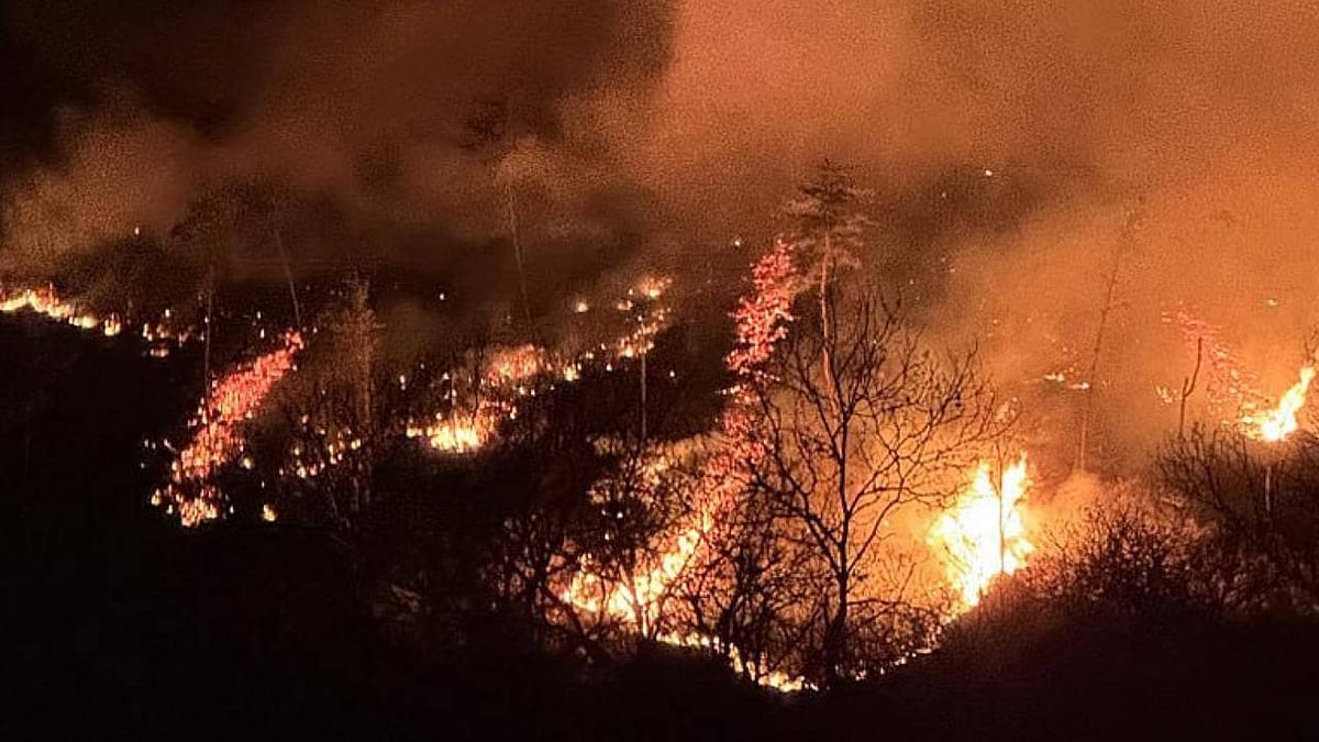At least 16 dead, 19 injured as wildfires ravage South Korea's southern regions
