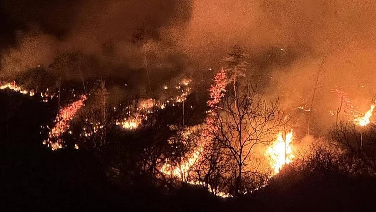 One of the wildfires in South Korea (photo: @GennadySimanovs/X)