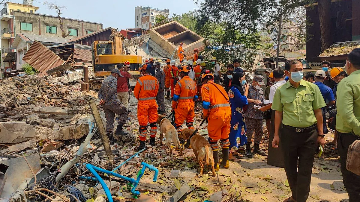 An Indian NDRF team has sniffer dogs root through the rubble of the Myanmar earthquake 