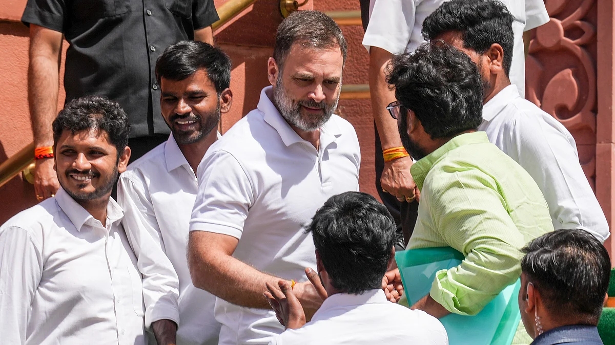 Rahul Gandhi in Parliament on 28 March (photo: PTI)