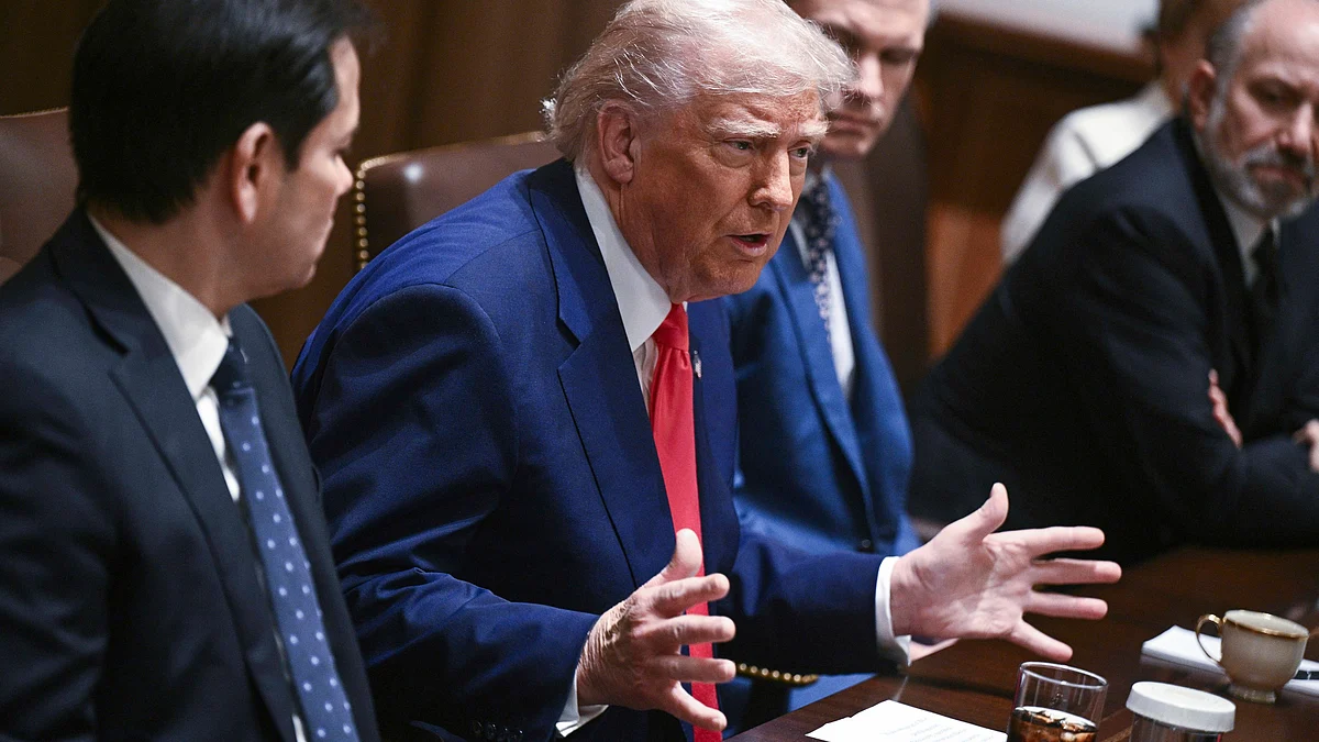 Donald Trump speaks during a cabinet meeting at White House on 10 April (photo: AP/PTI)