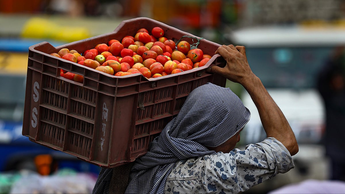 Representative image of man carrying tomatoes (photo: PTI) 