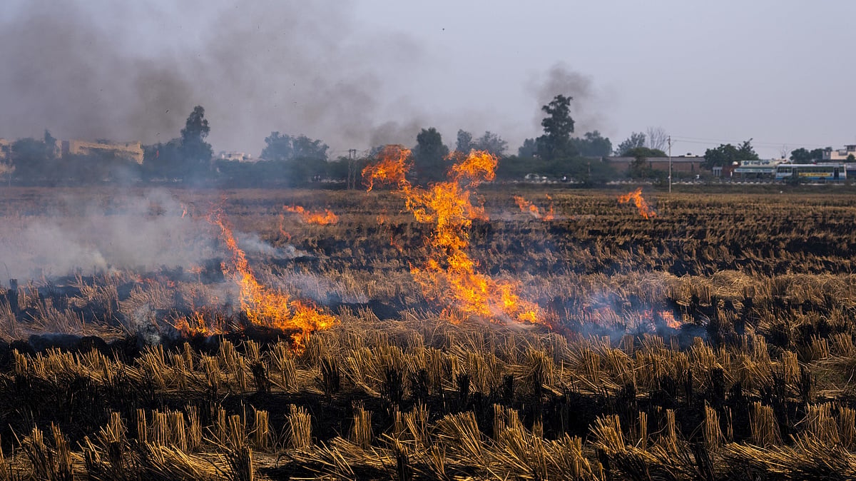 CAQM asks Punjab, Haryana, Uttar Pradesh to set up 'Parali Protection Force'  to end stubble burning
