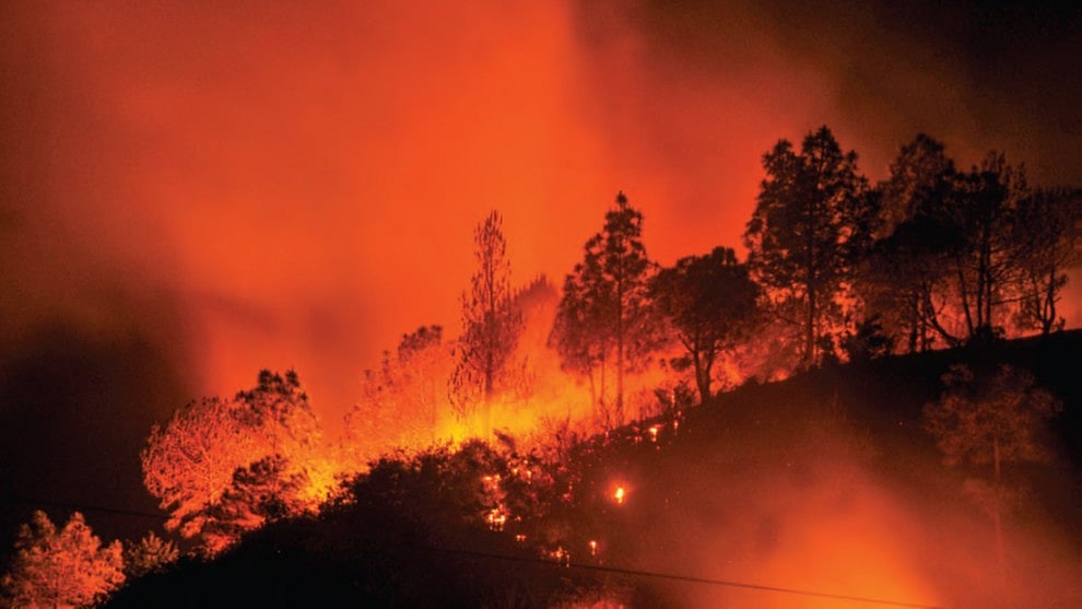 Sniff the smoke before the fire