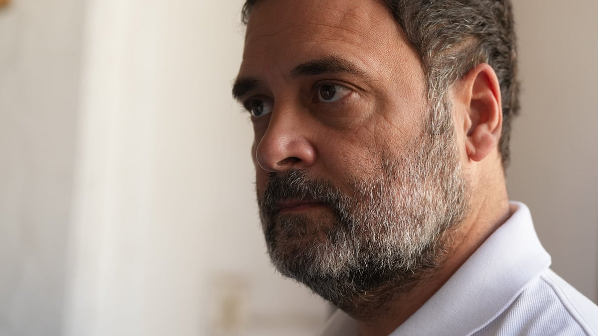 Congress leader Rahul Gandhi (photo: PTI)