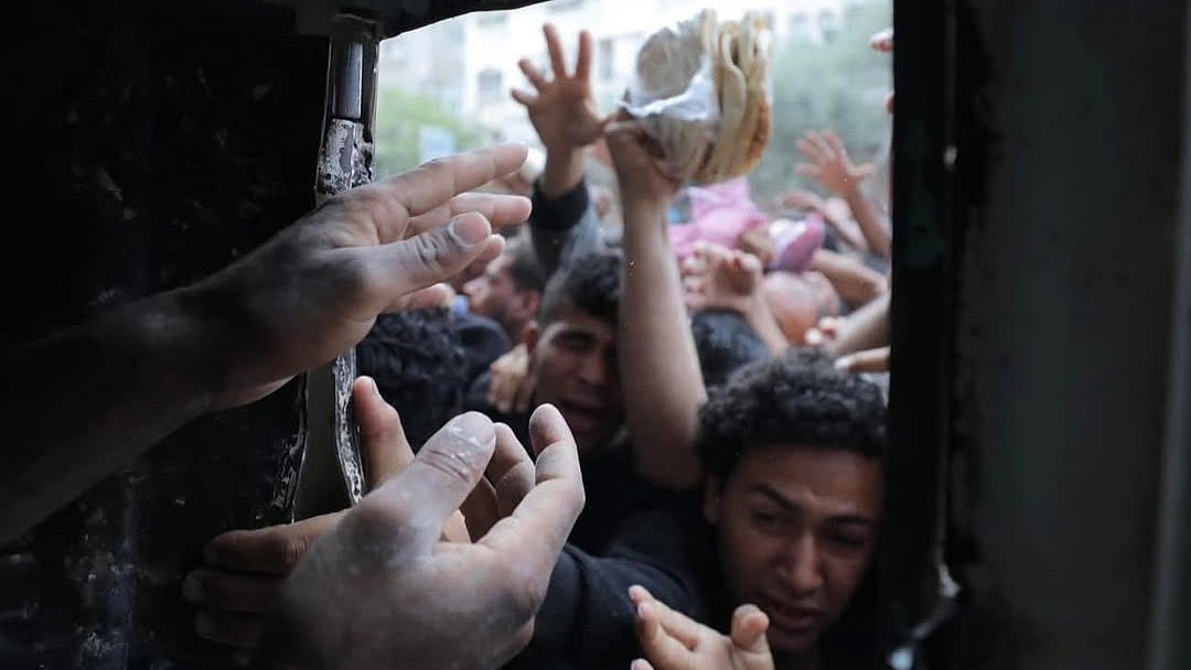 A scramble for food in starving Gaza (photo: @Timesofgaza/X)