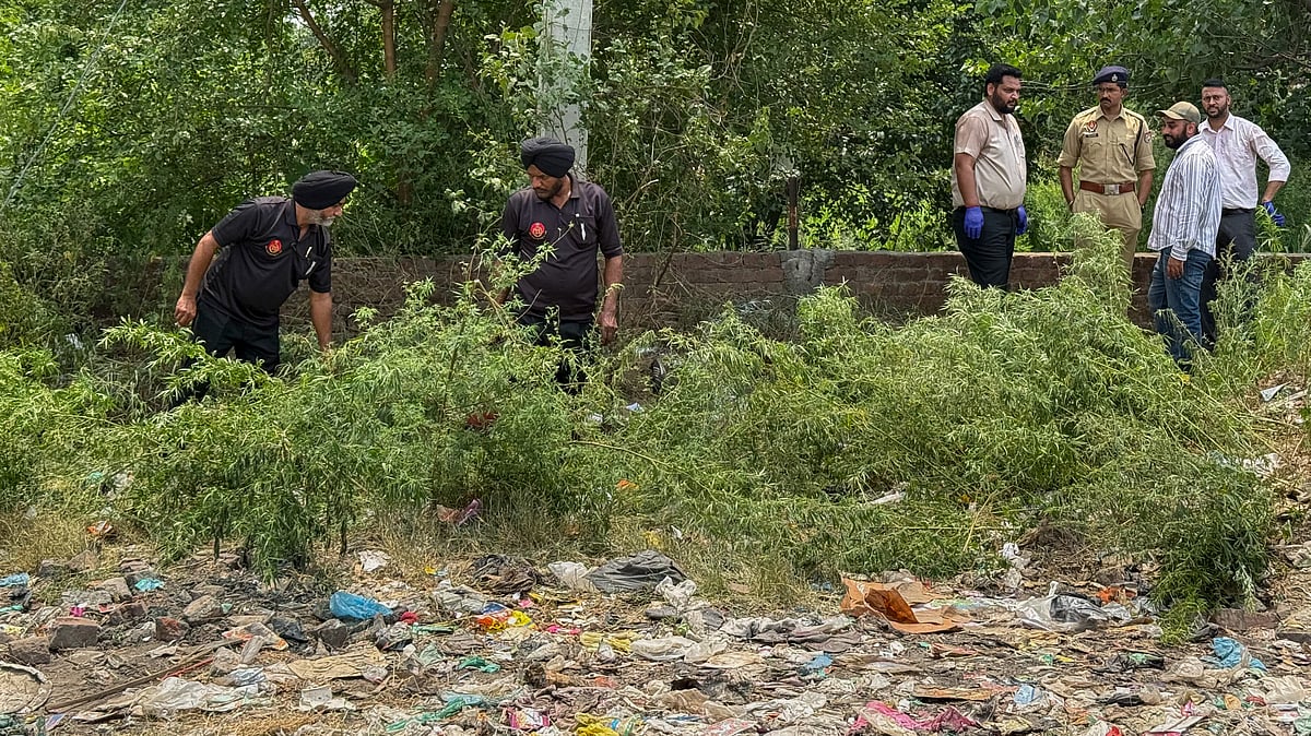 Suspected terrorist killed in blast in Amritsar