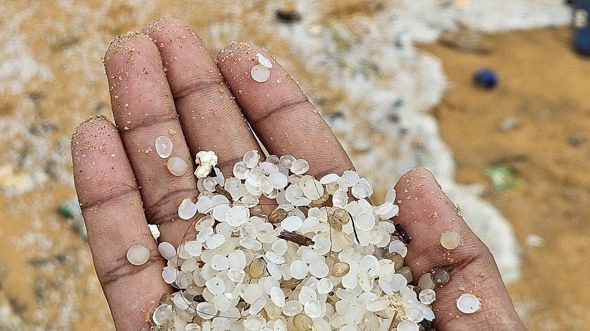 Liberian shipwreck: Kerala deploys volunteers to clean up plastic pellets