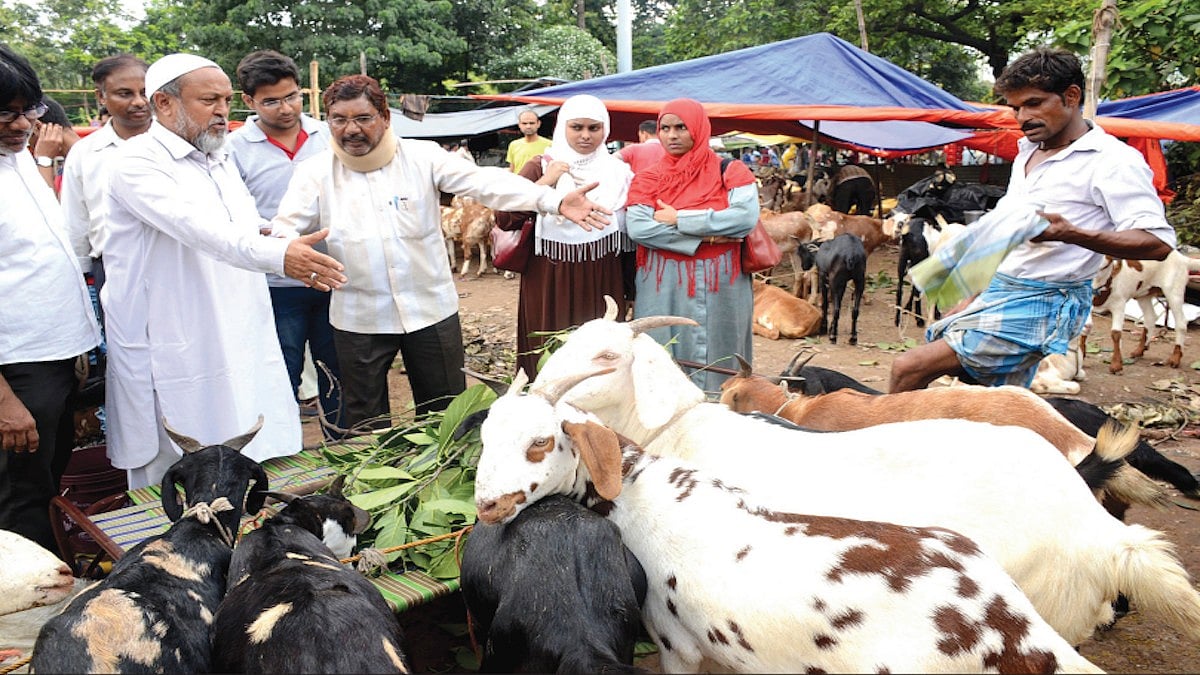 Maharashtra: Livestock markets face a ban ahead of Eid al-Adha