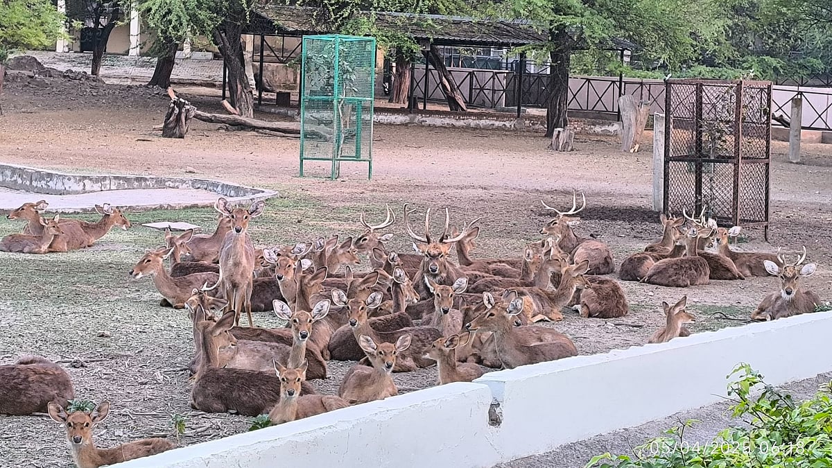 Now Delhi zoo also belongs to Ambani — aka another ‘Vantara’ project? 