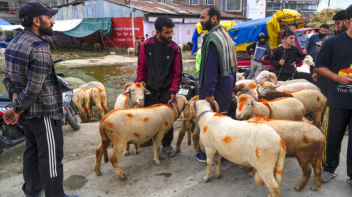 Eid al-Adha: DM of Sambhal bans sacrificial slaughter in public places  