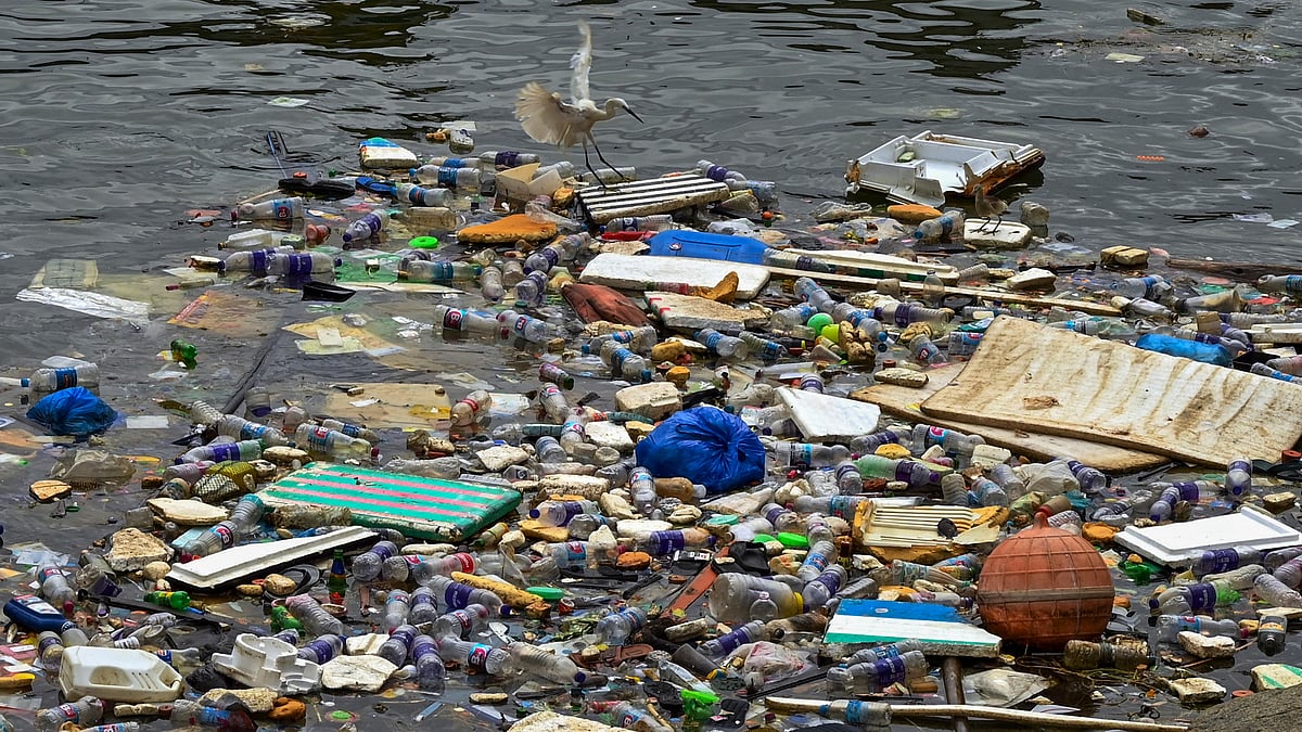 An egret lands on plastic waste afloat near Vizhinjam Fishing Harbour, Thiruvananthapuram, Kerala 