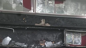 Fire catches Jammu and Kashmir assembly unawares
