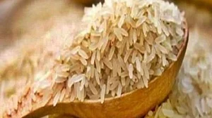 Iran-Israel war impact: Basmati exporters warn of payment crisis, falling prices