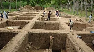 Why khaki knickers are in a twist over Keeladi dig
