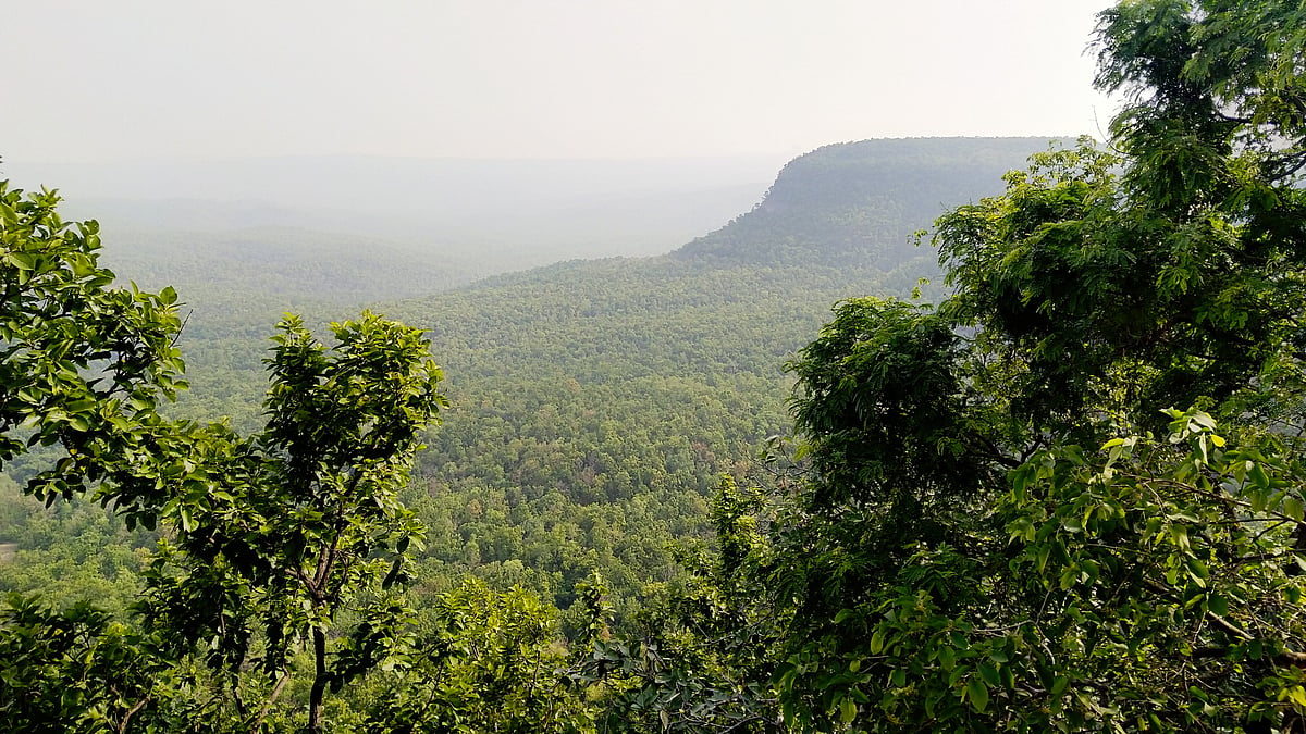 Supreme Court gives Jharkhand seven days to decide whether Saranda forests ecologically valuable or not  