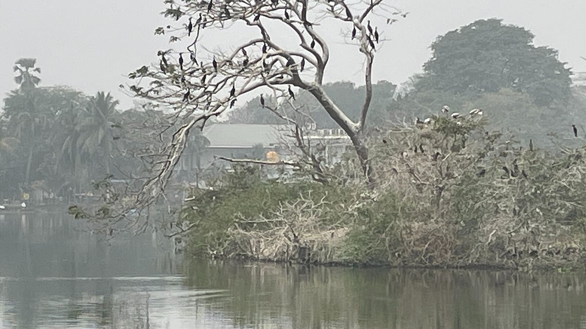 Rabindra Sarovar in winter 2024-25