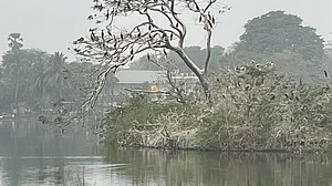 Bengal: Activists seek urgent dredging of south Kolkata lake, mapping of area