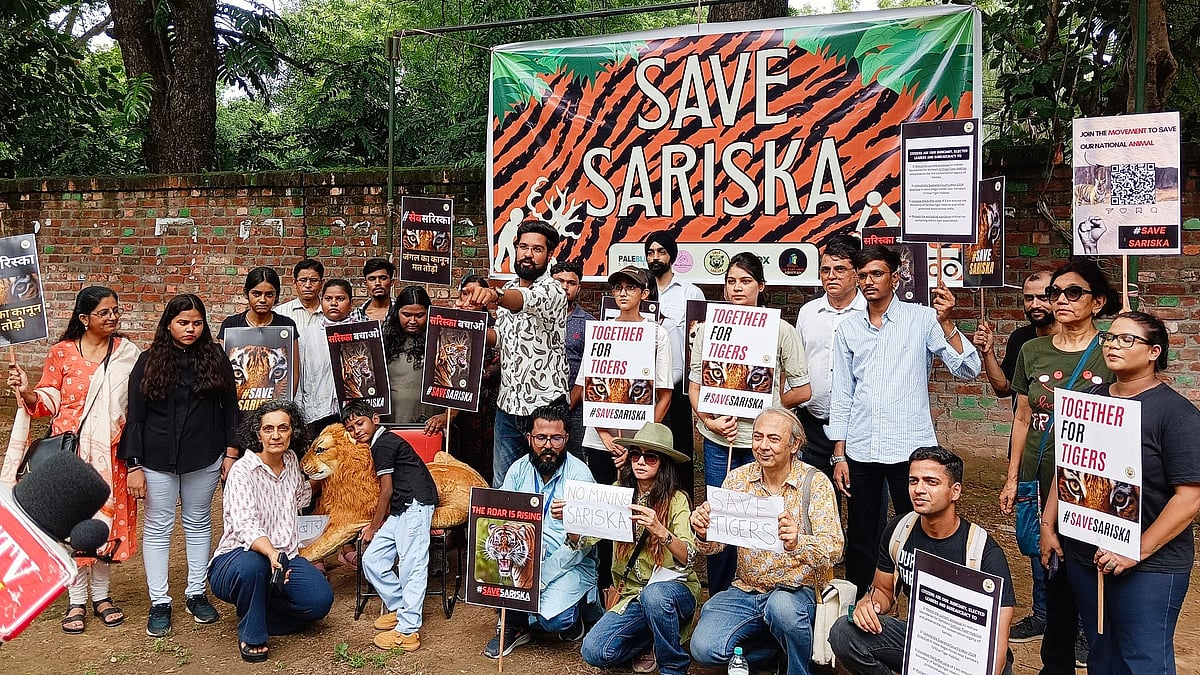 Activists protest proposal to redraw boundaries of Sariska tiger reserve