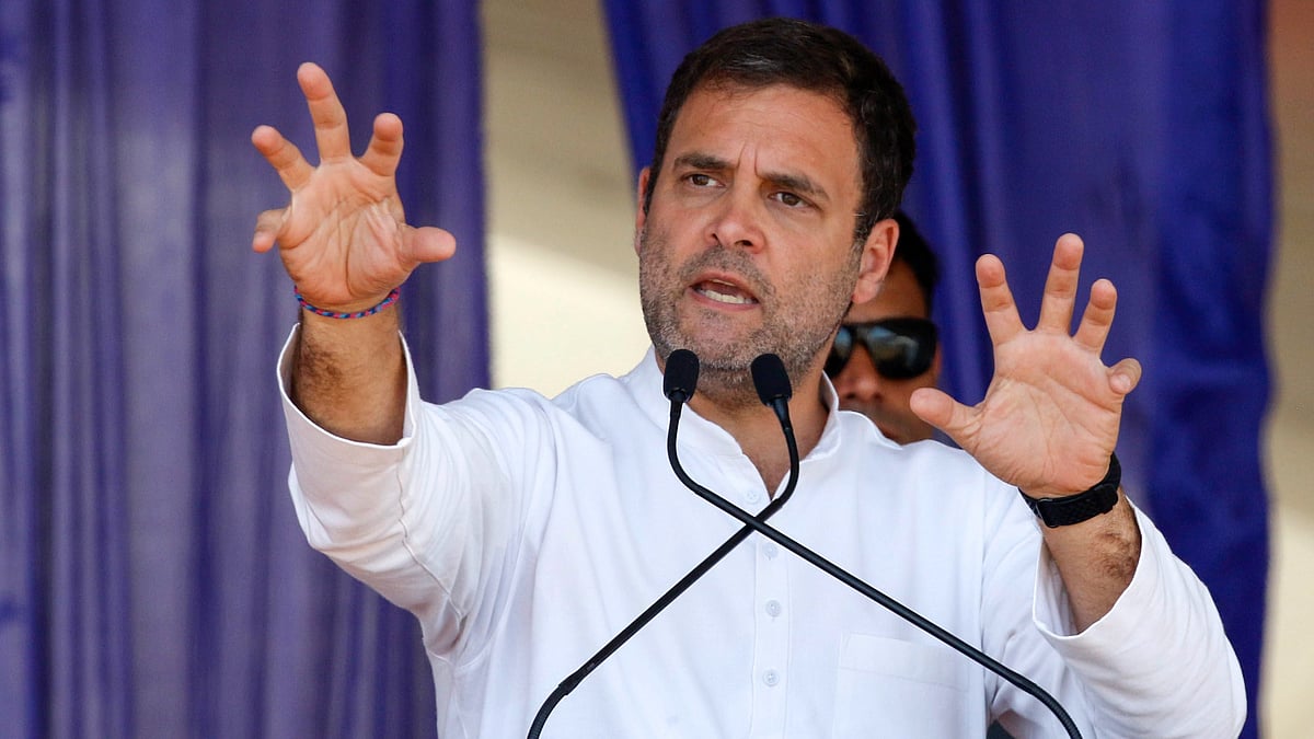 Leader of Opposition in the Lok Sabha Rahul Gandhi (photo: PTI)