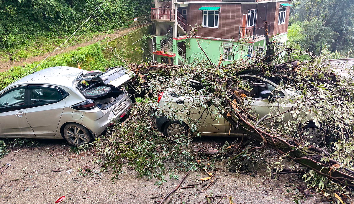 Monsoon fury: 332 roads closed in Himachal, uprooted trees damage vehicles in Shimla